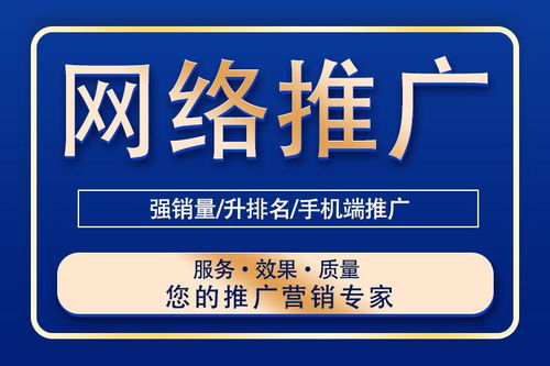 網絡推廣的全面解析 技巧與信息技術服務